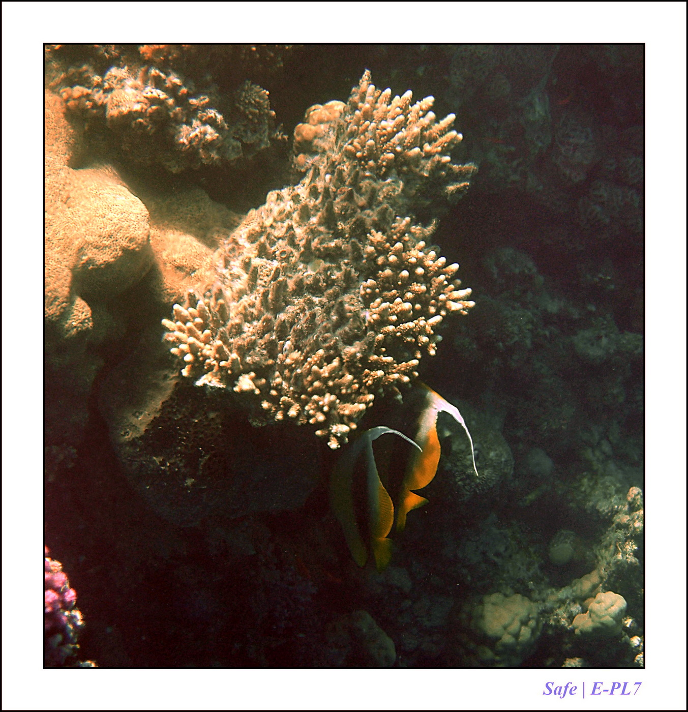 Hurghada - Juillet 2021 - 020